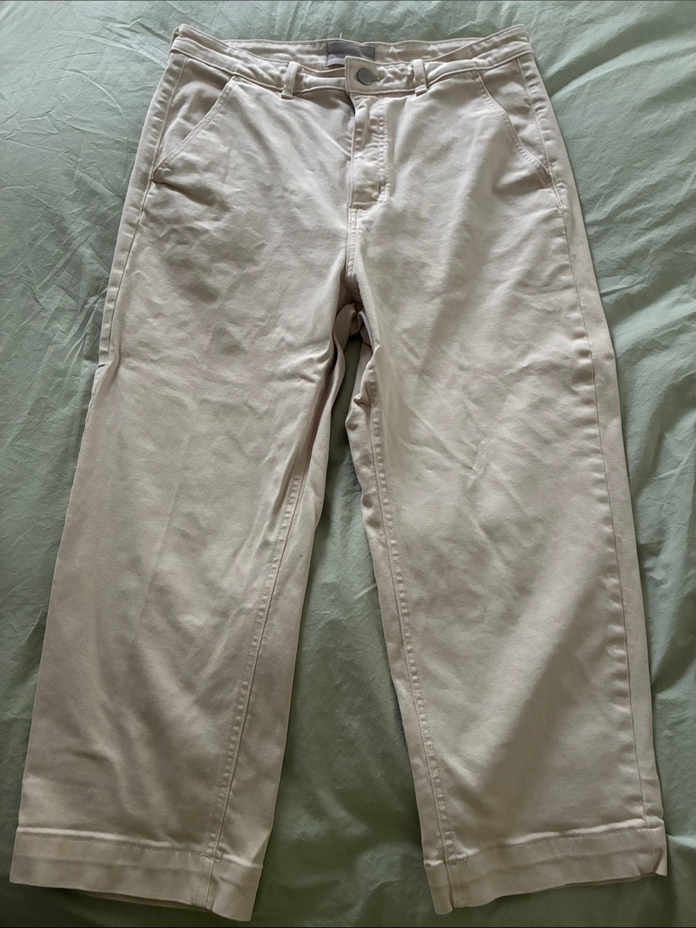 Everlane Straight Leg Crop - Short 16